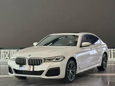 BMW 5 Series · 2023 год