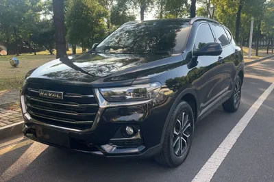 Haval H6 · 2021 год