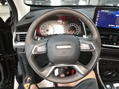 Haval H6 2024, 21600 км, за 69200 CNY - фото 11