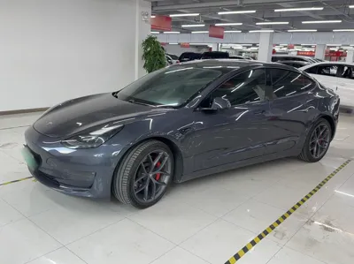 Tesla Model 3 · 2021 год