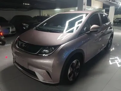 BYD Dolphin · 2024 год