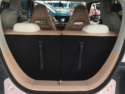 Galaxy Panda 2023, 47200 км, за 28000 CNY