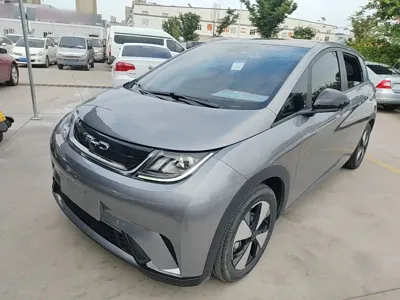 BYD Dolphin · 2023 год