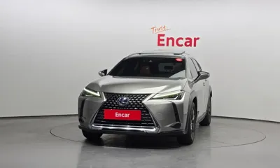 Lexus UX 2019, 38229 км, за 29000000 KRW