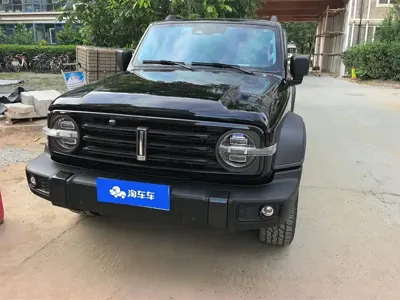 Tank Tank 300 2021, 93900 км, за 119000 CNY