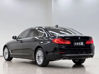 BMW 5 Series 2019, 42000 км, за 165000 CNY