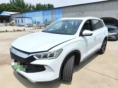 BYD Pro New Energy · 2026 год
