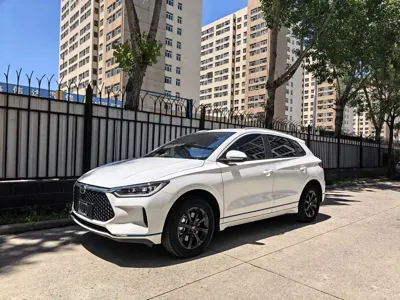 BYD e2 · 2022 год