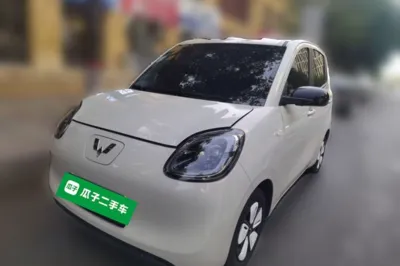 Wuling Hongguang MINIEV · 2025 год