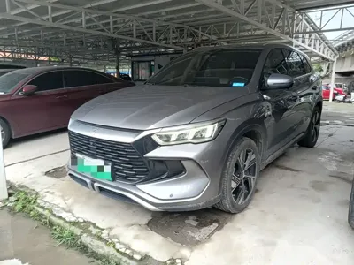 BYD Pro New Energy · 2024 год