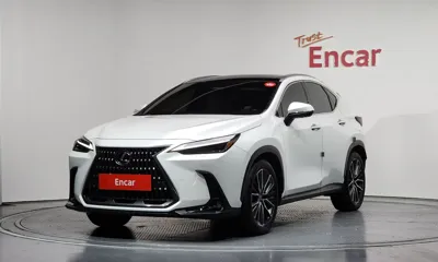 Lexus NX · 2025 год