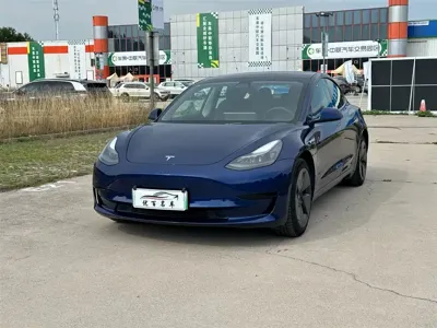Tesla Model 3 · 2021 год