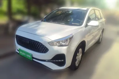 Haval M6 · 2019 год