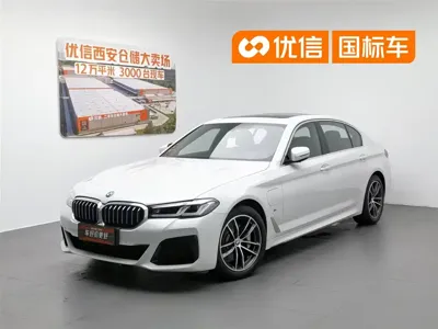 BMW 5 Series New Energy · 2021 год