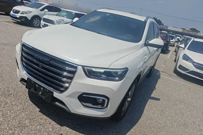 Haval H6 · 2019 год