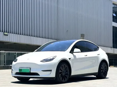 Tesla Model Y · 2021 год