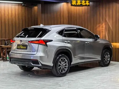 Lexus NX 2018, 90000 км, за 123600 CNY - фото 6