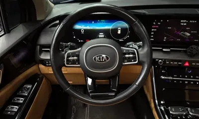Kia Canival 2021, 98784 км, за 27500000 KRW - фото 13
