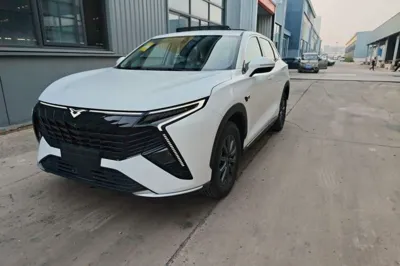 Cowin Kunlun 2026, 100 км, за 85749.58 CNY