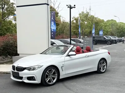 BMW 4 Series · 2017 год