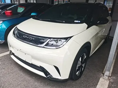 BYD Dolphin · 2023 год