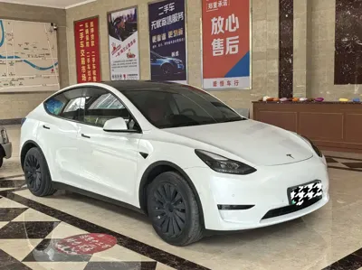 Tesla Model Y · 2023 год
