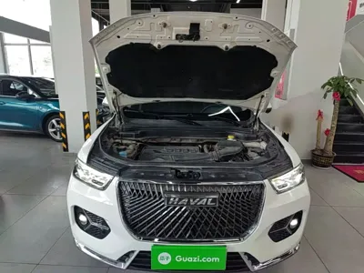 Haval H6 2020, 112400 км, за 41200 CNY - фото 20