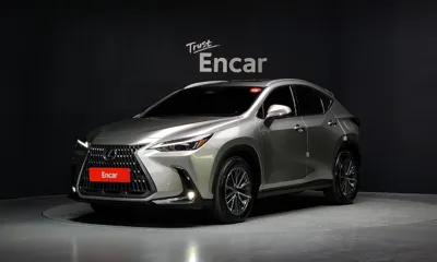 Lexus NX · 2025 год