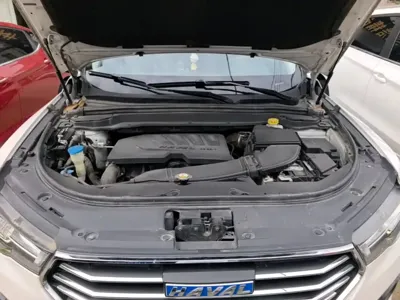 Haval H4 2019, 95000 км, за 30800 CNY - фото 20