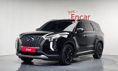 Hyundai Palisade · 2019 год