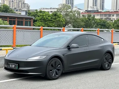 Tesla Model 3 · 2024 год