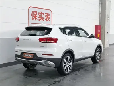 Haval H6 2020, 42300 км, за 41900 CNY - фото 2