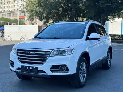 Haval H6 · 2019 год