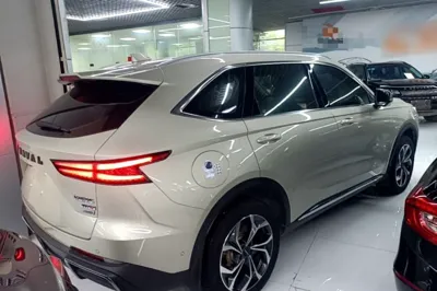 Haval Fierce Dragon Max 2023, 75700 км, за 89746.79 CNY - фото 6
