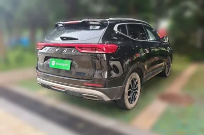 Haval H6 2021, 54100 км, за 78808.86 CNY - фото 6