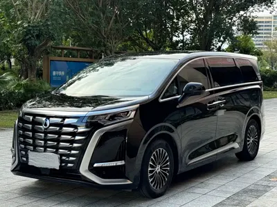 Denza Denza D9 · 2023 год