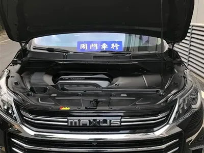 大通 G50 2020, 62000 км, за 49900 CNY