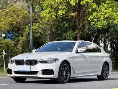 BMW 5 Series · 2020 год