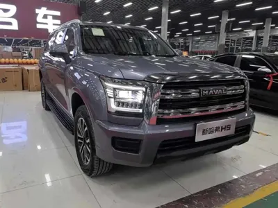 Haval H5 2025, 100 км, за 109800 CNY - фото 6