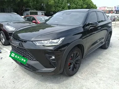 Haval H6S · 2022 год