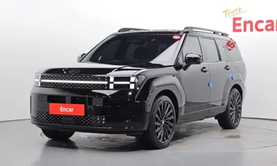 Hyundai Santafe · 2024 год