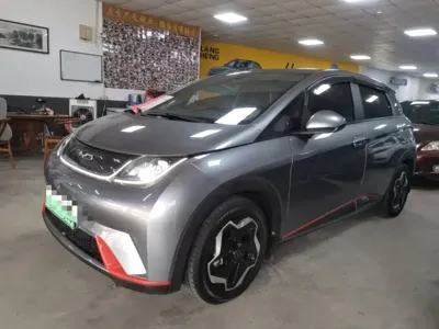 BYD Dolphin · 2022 год