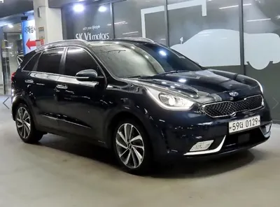 Kia Niro 2017, 182602 км, за 9900000 KRW - фото 1