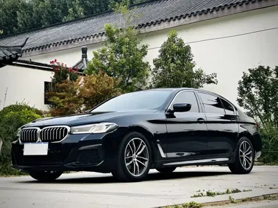 BMW 5 Series · 2021 год