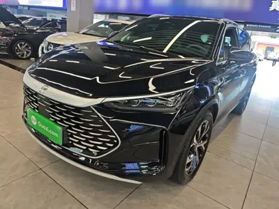 BYD Tang New Energy · 2024 год