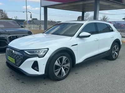 Audi Q8 e-tron · 2024 год