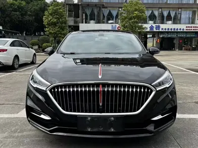 Hongqi Hongqi H5 2020, 55000 км, за 42800 CNY