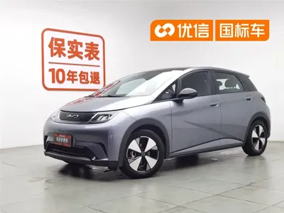 BYD Dolphin · 2023 год