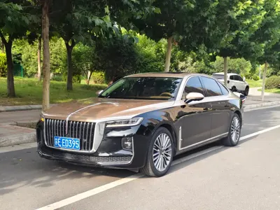 Hongqi Hongqi H9 · 2021 год
