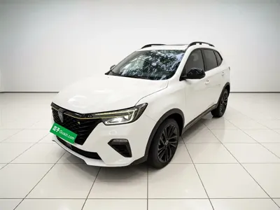 Roewe RX5 New Energy · 2021 год